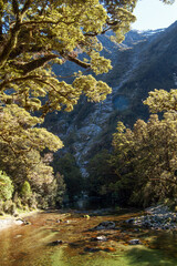 View of the Clinton river along the Milford track,, fiordland national park south island New Zealand.
