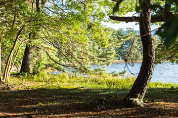 日本　京都府宮津市の丹後天橋立大江山国定公園と阿蘇海