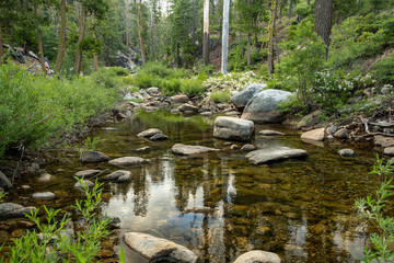 Naklejka na ściany i meble Gentle Waters Of Frog Creek Flow Through Rocky Basin In Yosemite