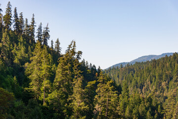 Mountain Overlook at Klamath National Forest