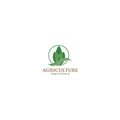 green leaf vector design for agriculture logo