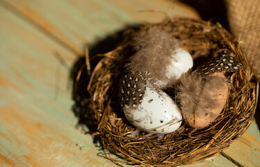 Naklejka na ściany i meble eggs in a nest