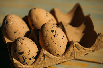 easter eggs. Easter photo. Gift. Eggs. Holidays. 