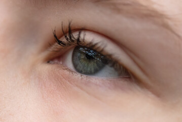 Girl's open eye. macro photo