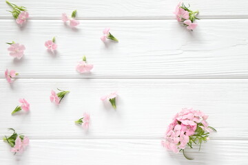 Small pink flowers on white wooden background