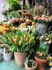 Bright flower stalls somewhere in London. Roses, tulips, and all other vibrant flowers placed in...