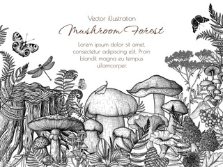 Vector frame of mushrooms in the forest in engraving style. Graphic linear fly agaric, chanterelles, porcini mushroom, honey mushrooms, morels, mycena, russula, boletus surrounded by plants - obrazy, fototapety, plakaty