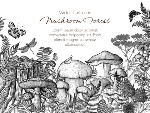 Vector frame of mushrooms in the forest in engraving style. Graphic linear fly agaric, chanterelles, porcini mushroom, honey mushrooms, morels, mycena, russula, boletus surrounded by plants