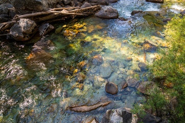 Close up of a Stream at Kings Canyon National Park