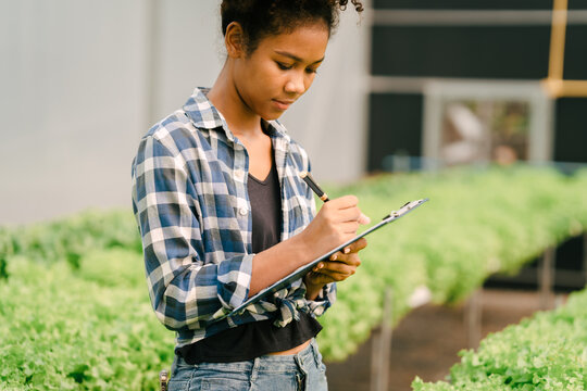 Young friends smart farmer gardening, checking quality together in the salad hydroponic garden greenhouse, working together.