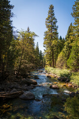 Mountain Landscape Vista at Kings Canyon National Park