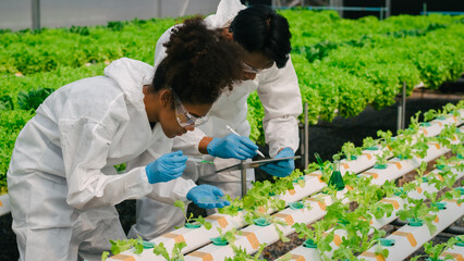 African American Plant Genetic Expert researcher and friends testing quality and bacteria contained...
