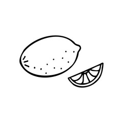 Juicy lemon and lemon wedge. A useful vitamin in the treatment of colds, flu. Doodle. Hand drawn. Vector illustration. Outline. 