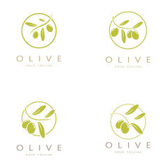 leaf plant logo and natural olive fruit .Herbal,olive oil,cosmetics or beauty,business,cosmetology,agriculture,ecology concept,spa,health,yoga center,vector