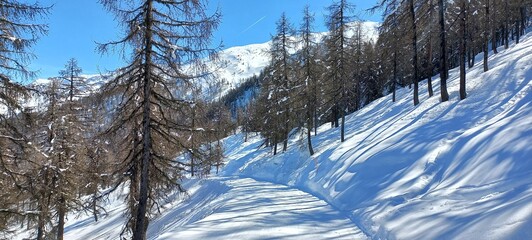Snowy way through the forest ski resort Bruson Swiss Alps