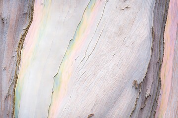 A close-up macro photograph of wood texture in shades of pink. Generated by AI
