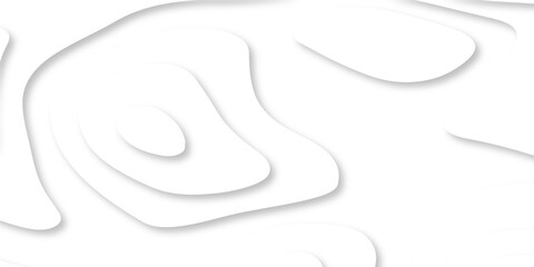 Abstract Luxury paper cut background, Abstract decoration, white pattern lines gradients, 3d Vector illustration, topographic canyon map light relief texture, curved layers.