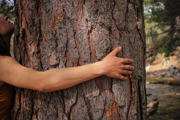 A person hugging a tree in the middle of the forest