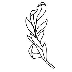 Leaves branch line art vector.
