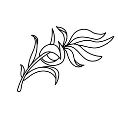 Leaves branch line art vector.