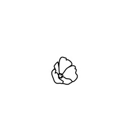 Blooming flower line art vector.