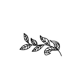 Leaves branch line art vector.