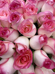 The rosebuds in the bouquet are tightly pressed together, rich light pink shades have a smooth and silky texture.