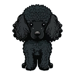 Poodle Flat Icon Isolated On White Background