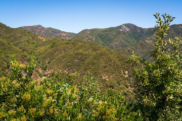 View of Los Padres National Forest