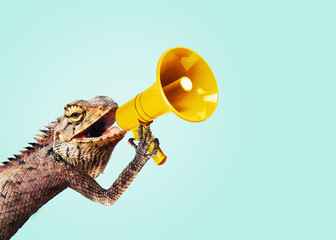 Fototapeta Iguana holds a yellow loudspeaker and shouts, attention, concept. Management and business, creative idea. Attracting traffic. Reptile speaks loudly obraz