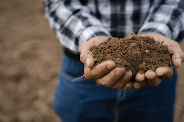 Farmers' expert hands check soil health before planting vegetable seeds or seedlings. Business idea or ecology.