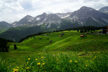 Summer in Switzerland Swiss Alps