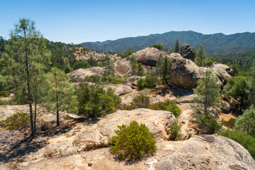 Fototapeta na wymiar View of Los Padres National Forest
