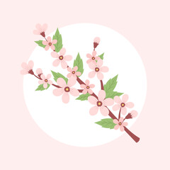Cherry blossom branch. Spring vector illustration in a circular shape, card design
