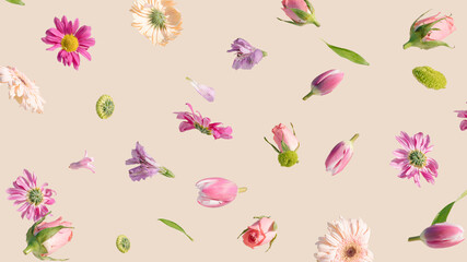 Spring flowers flying in the air on a cream background. Summer aesthetic concept.