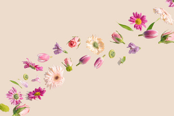 Fototapeta na wymiar Spring flower floating on a cream background. Summer aesthetic concept.