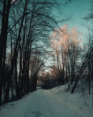 road in winter