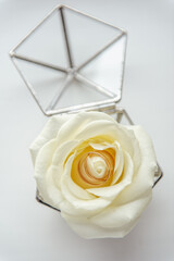 Two gold rings lie inside a blossoming white rose bud. The rose lies in a silver box in the form of a pentagon on a white surface.
