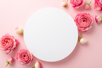 Fototapeta na wymiar Women's Day concept. Top view photo of white circle and pink peony roses on isolated pastel pink background with copyspace