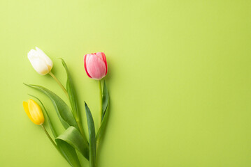 Mother's Day concept. Top view photo of pink yellow and white tulips on isolated light green...