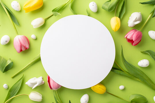 Easter decorations concept. Top view photo of white circle fresh colorful tulips easter eggs and ceramic bunny on isolated light green background with copyspace