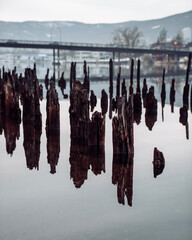 reflection in the water