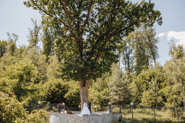 Obraz premium The bride and groom stand on a picturesque field on the wedding day on the background of a wonderful forest and an expensive hotel