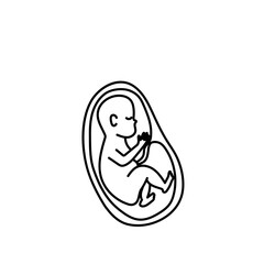 Human fetus development line art.