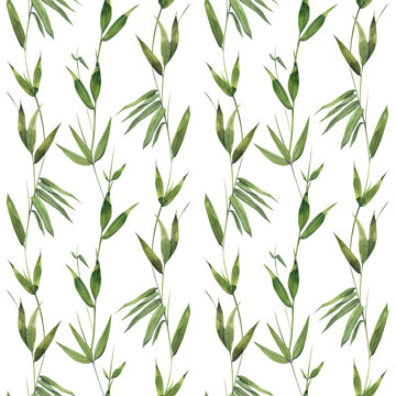 Bamboo leaves and twigs on a white background. Watercolor illustration. Seamless pattern. For fabric, textiles, wallpaper, covers, prints, packaging, paper, scrapbooking clothing bed linen.