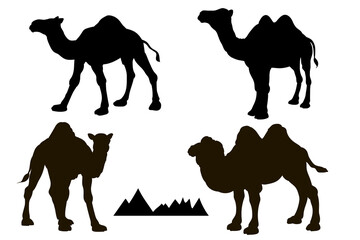 Animals. Black and white silhouette of a camel, vector image.