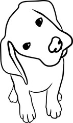 dog element labrador retriever linear