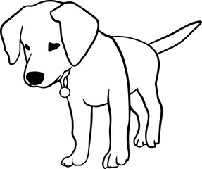 dog element labrador retriever linear