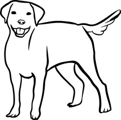 dog element labrador retriever linear