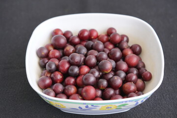 Super ripe camu camu fruits (Myrciaria dubia), Myrtaceae family, 35 percent more vitamin C than...